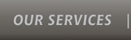 Button To Services Page